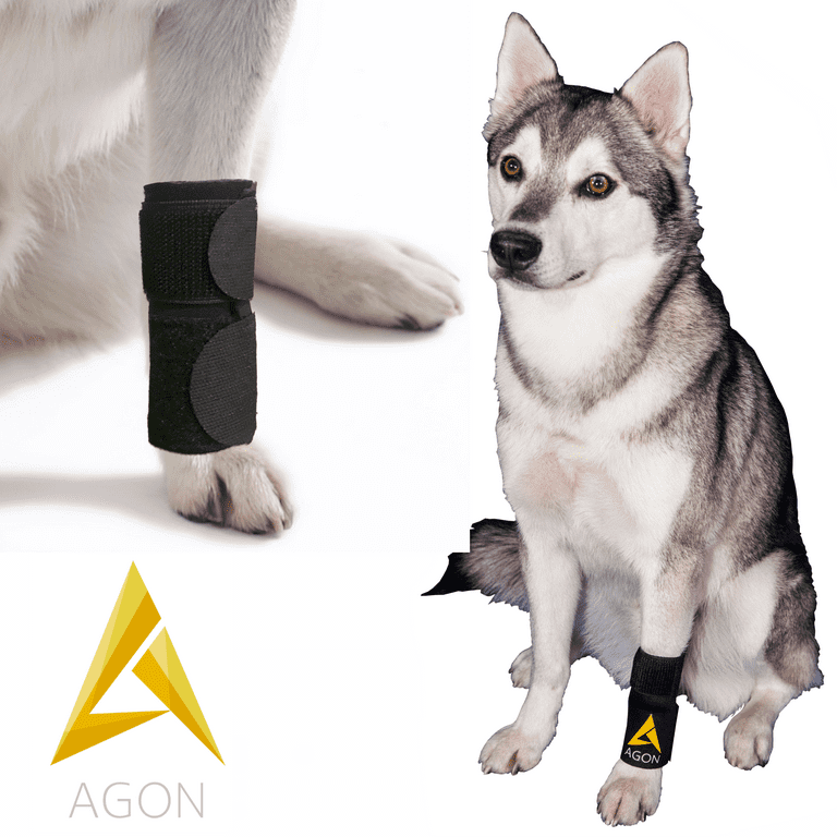 Agon® Dog Canine Front Leg Brace Paw Compression Wraps With Protects Wounds  Brace Heals and Prevents Injuries and Sprains Helps with Loss of Stability  caused by Arthritis (Large/X-Large) 