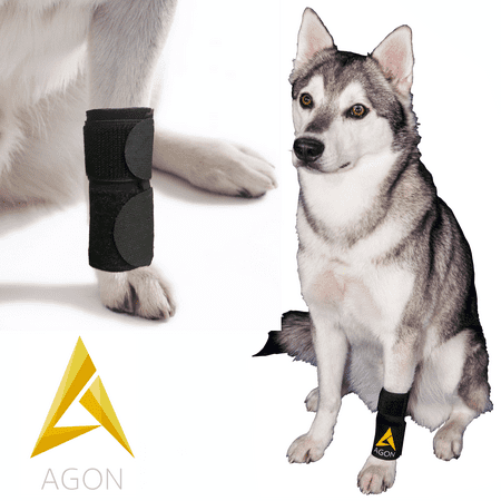 Agon® Dog Canine Front Leg Brace Paw Compression Wraps With Protects Wounds Brace Heals and Prevents Injuries and Sprains Helps with Loss of Stability caused by Arthritis