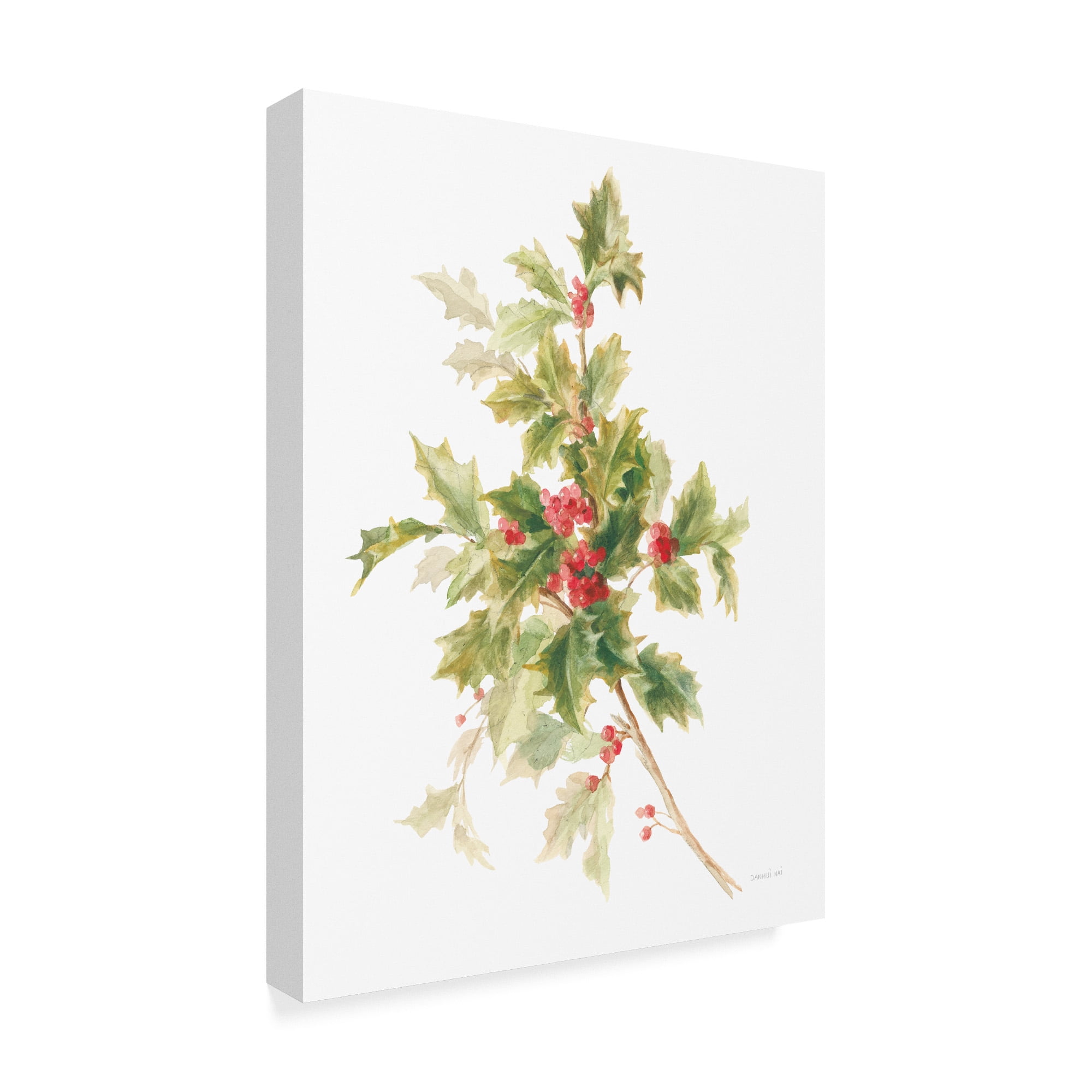 Trademark Fine Art 'Floursack Holiday IX' Canvas Art by Danhui Nai