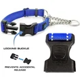 thumbnail image 2 of Collar Martingale Con Cadena De Acero Inoxidable Max Y Neo -, 2 of 5