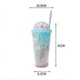 thumbnail image 5 of 2026 Double Layers Rainbow Plastic Water Bottle With Straw Creative 550ml Mug, 5 of 5