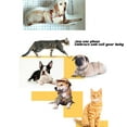 thumbnail image 5 of Customized Pet Pillow with Personalized Shape, Featuring Pets/Pictures/Characters - (Double-Sided Printing) C 33-35Cm, 5 of 10