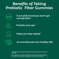 thumbnail image 4 of Benefiber Prebiotic Glp-1 Friendly Fiber Supplement Gummies for Digestive Health, Assorted Fruit Flavor - 81 Count, 4 of 13