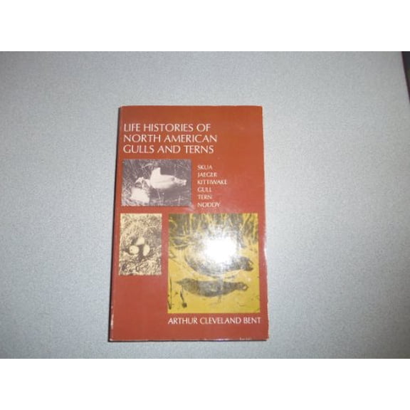 Pre-Owned Life Histories of North American Gulls and Terns (Paperback) 0486252620 9780486252629
