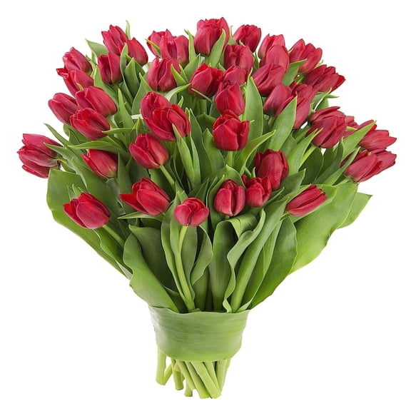KaBloom :50 Red Tulips, Next-Day Delivery, Gift for Every Occasion.