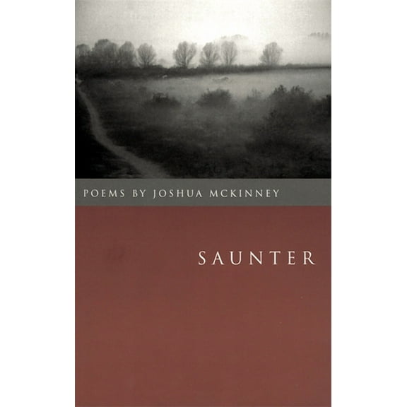 Contemporary Poetry Saunter: Poems, (Paperback)