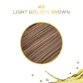 thumbnail image 2 of Soy4plex Liquicolor Permanent Hair Color - 4G/8400 Light Golden Brown, 2 of 9