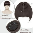 SEGO Clip in Bangs Hair Extensions with Temples Thick Synthetic Hair