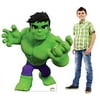 Advanced Graphics Hulk (Spidey & His Amazing Friends)