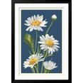 thumbnail image 2 of Art.com Daisy Art Print by Lantern Press, Black Frame Wall Art, 32" x 44", 2 of 5