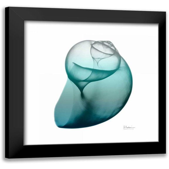 Koetsier, Albert 12x12 Black Modern Framed Museum Art Print Titled - Teal Water Snail