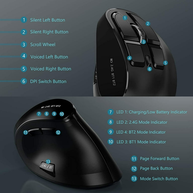 Purpose of 2024 a mouse