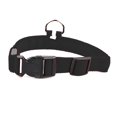 thumbnail image 1 of LED Dog Collar, USB Rechargeable Glowing Pet Safety Collar, Adjustable Light Up Collars for, 1 of 5