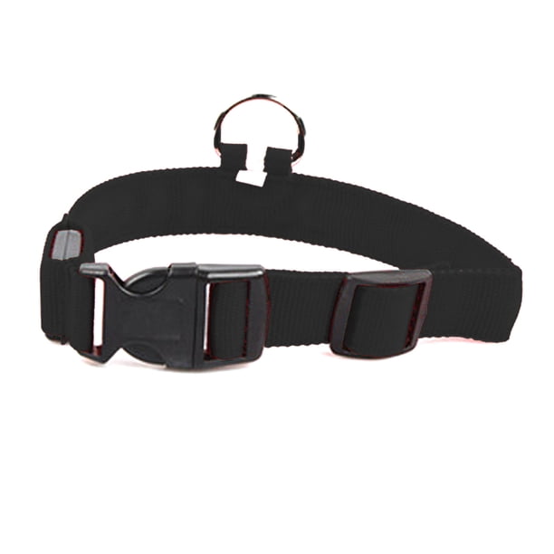 Collar de perro LED, collar de perro iluminado que cambia de color arcoíris recargable, Adepaton CPB-US-YY86-1