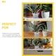 thumbnail image 4 of 6 conjuntos de macetas de orquídeas transparentes, 4 of 6