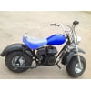 ricky-power-sports 196 CC Gas Powered Mini Trail Bike Scooter