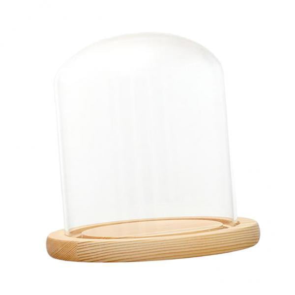 3xCúpula De Visualización De Vidrio Transparente Con Base De Madera LED Soporte Para Micropaisaje E 12x12cm Sunnimix Cúpula transparente con base de madera