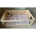 thumbnail image 4 of Healthy Habitat For Guinea Pigs - 1 Bay, 4 of 8