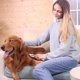 thumbnail image 5 of Pet Life 'WAGNIFY' Peine rastrillo para mascotas moderno multidireccional y de 360 grados, 5 of 6