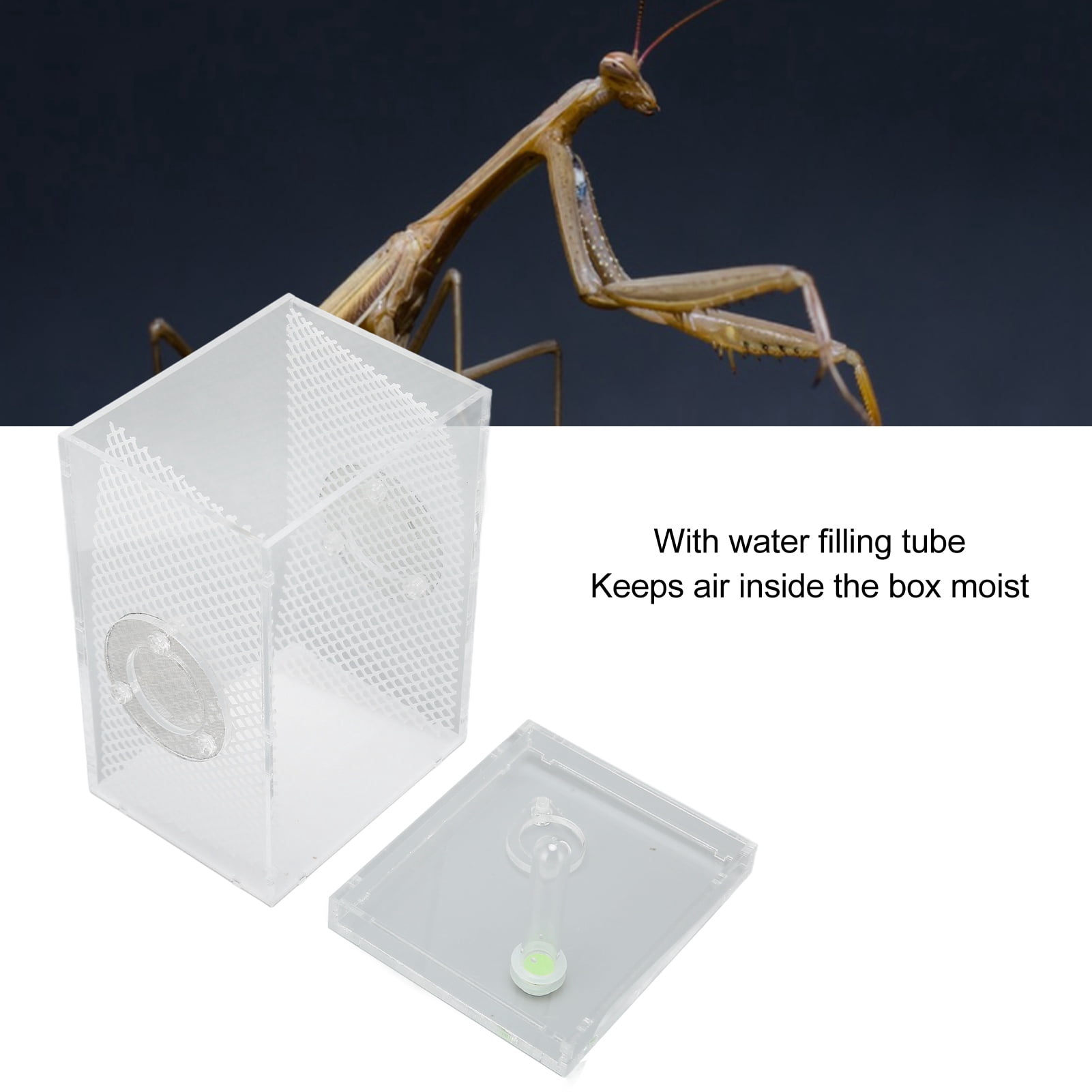NFTIGB Acrylic Reptile Insect Enclosure Tank High Transparency Moisturizing Breeding Box L for Jumping Spider Tarantula Mantis (7.8 x 5.5 x 4.3 inches / 20 x 14 x 11 cm) Clear Terrarium