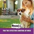 thumbnail image 4 of EcoClear Products MouseX Indoor Mouse Bait Trays, 8 Pack, 4 of 10