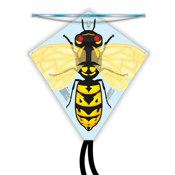 X Kites Buzz Kites - Hornet