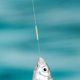 thumbnail image 5 of 100 mini varillas luminosas para cañas de pescar submarinas, ideales para pesca nocturna. Accesorios pequeños que brillan en la oscuridad., 5 of 8