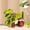 Green, variant on Esaierr Toddler Baby Dinosaur Car Toys for Kids, Deformation Dinosaur Cars Toys Inertia Car Toys Gifts for 2 3 4 5 6 Year Old Boy Girls