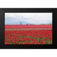 thumbnail image 2 of Styber, Dana 14x11 Black Modern Framed Museum Art Print Titled - Red Tulip Mound II, 2 of 5