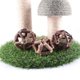 thumbnail image 5 of Juguete Interactivo para Gatos Catnip Brillar, 5 of 5