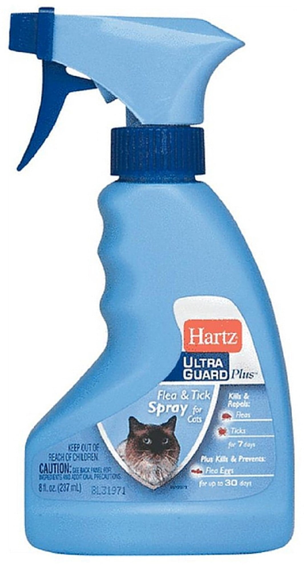 bravecto flea medication