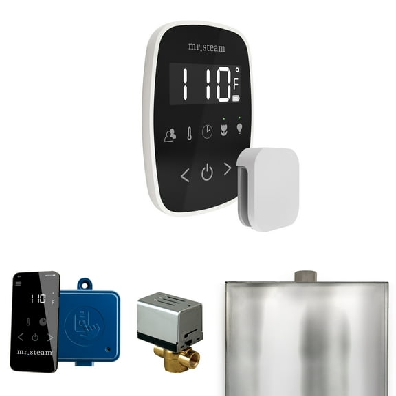 Mr Steam ButlerFlex Steam Shower Ctrl Pkg w/TempoFlex Control and Steamhead in Black White