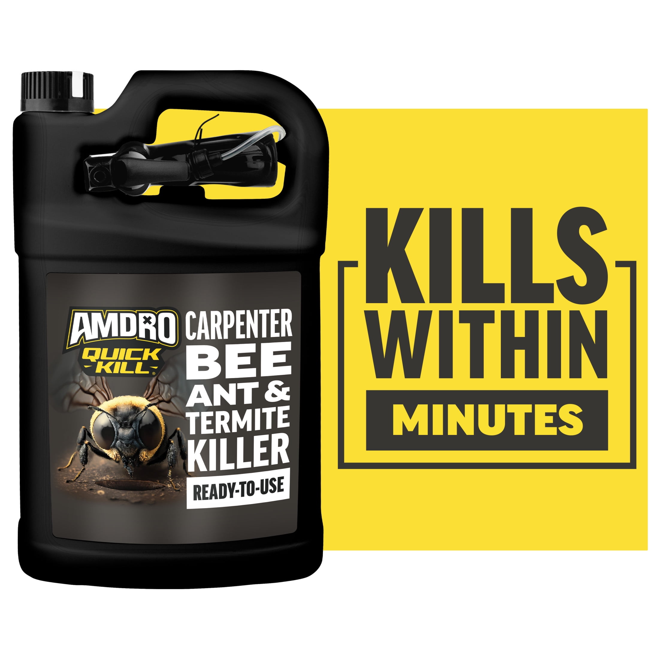 Amdro Quick Kill Carpenter Bee Ant and Termite Killer Foam
