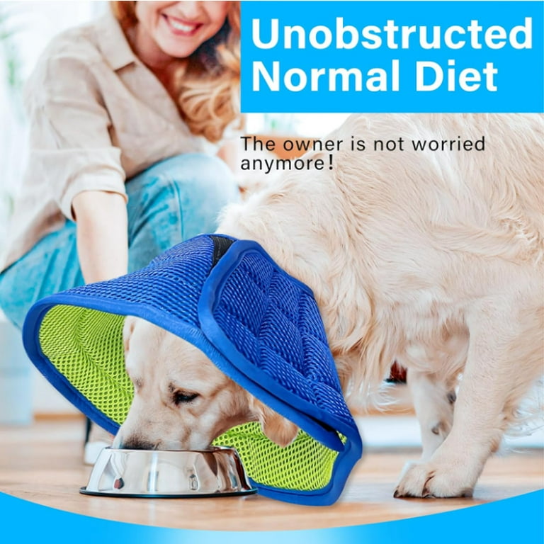 Cone After Neutering Best Dog Cone For Neuter Neutering Cone