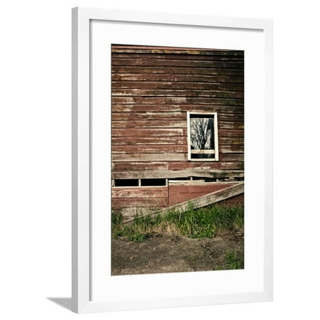 Rustic Red Barn Wall with Tree Brand Shadows in the Window Framed Print Wall Art By Susannah