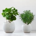 thumbnail image 7 of BNNG Breathable Meaty Flowerpot Ceramic Potted Rough Pottery Simple Personality Eggshell Meat Plant Old Pile Flowerpot Tall Vase, 7 of 7