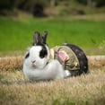 thumbnail image 3 of Small Animal Harness Vest Guinea Pig Harness Leash with Small Bag for Ferret Bunny Hamster Rabbit Guinea Pigs, 3 of 7
