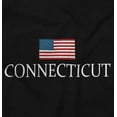 thumbnail image 2 of Connecticut Pride America Flag CT USA Plus Size Crewneck Graphic Tee Shirt Brisco Brands 2X, 2 of 5
