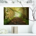 thumbnail image 1 of Suns Peeks into Forest - Landscape Photography Canvas Print, 1 of 3