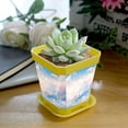 thumbnail image 5 of HemaKayy Decorative Planter Pot Set - Perfect for Small Plants - Colorful Design With Drainage Hole - Ideal for Home and Garden Decor - Set of 8 - Unique Marble Texture, 5 of 6