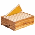 thumbnail image 1 of Caja para colmena MayBee Langstroth de 10 cuadros, super media, 1 of 6