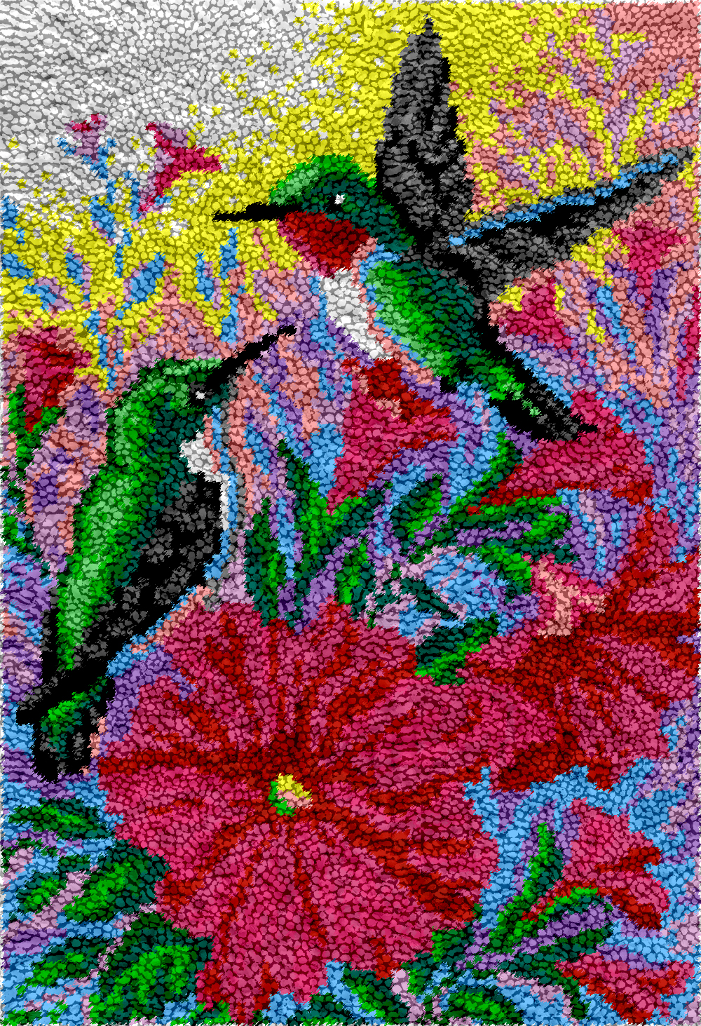 Rug Making Latch Hooking Kit Hummingbirds