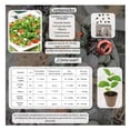 thumbnail image 3 of Semillas Paquete Ensalada 5 variedades Vita, 3 of 5