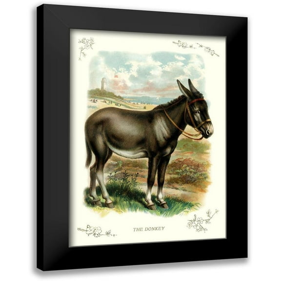 Unknown 11x14 Black Modern Framed Museum Art Print Titled - The Donkey, 1900