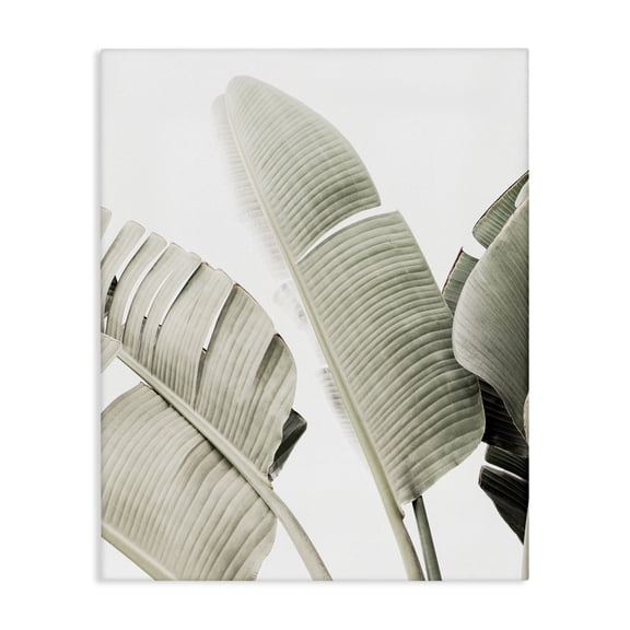 Stupell Industries Muted Banana Leaves Canvas Wall Art, design by Sisi and Seb
