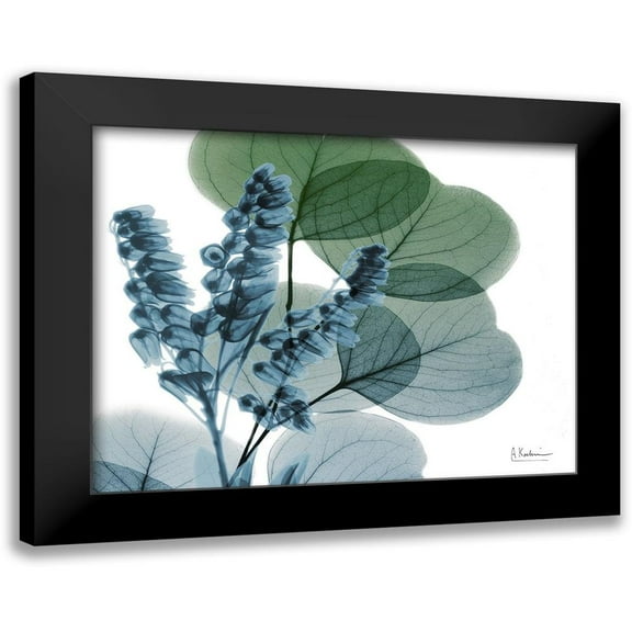 Koetsier, Albert 14x12 Black Modern Framed Museum Art Print Titled - Lilly of Eucalyptus