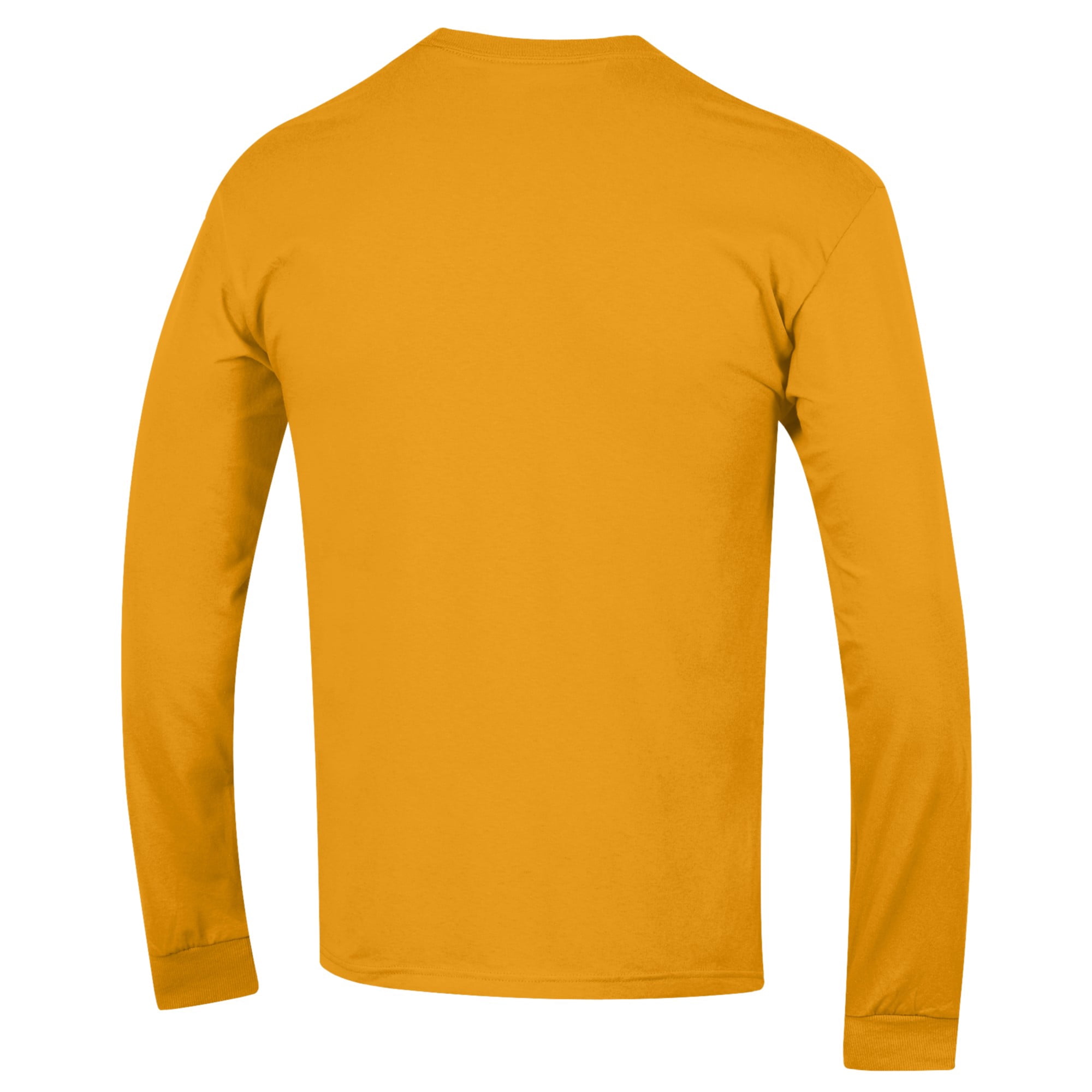 Men's-Champion  Yellow UAlbany Great Danes Stacked Track & Field Long Sleeve T-Shirt