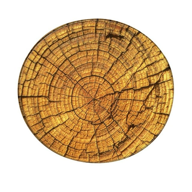 Tapis de Salon Rond à Grain de Bois pour Enfants, Tapis de Sol pour la Maison, Tapis de Jeu, Tapis de Yoga pour Salon, Rond, Design Rond