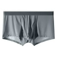 thumbnail image 2 of HXWCHs Men's Plus Size Underwear Silk Mens Briefs Separate Pouch Design Breathable Comfort Underwear Soft Stretch Wicking Fabric Grey S, 2 of 3
