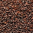 thumbnail image 6 of GranAroma Brown Mustard Seeds, 11.2 oz, Strong Flavor, Condiments & Sauces, Versatile Seeds, 6 of 7